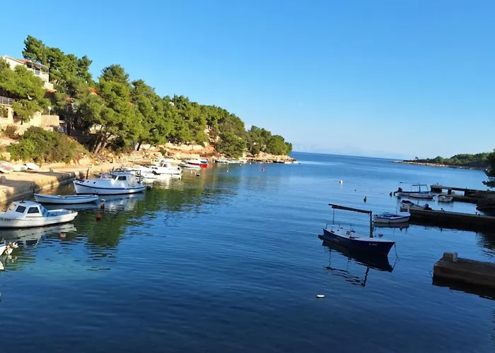 Dragana Apartamento Basina