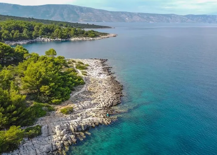 Dragana Apartamento Basina